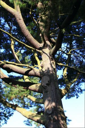 Klasztor i park  ss. Niepokalanek na Głębokiej.