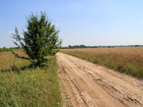 zdjecie Chrzczonowice