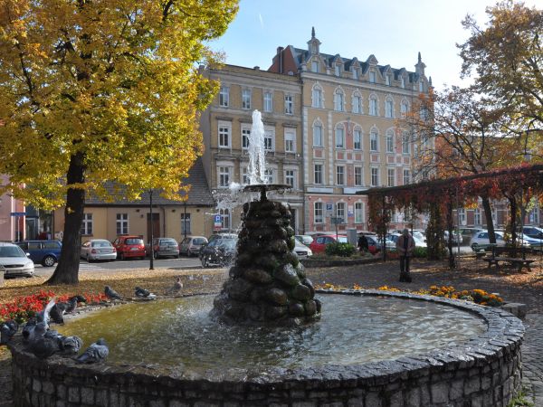 Plac Mitziga w jesiennej szacie.