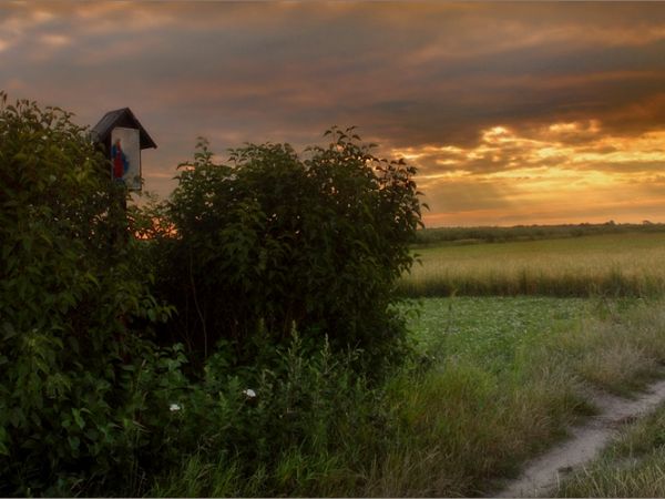 Świt na łąkach-Okolice Przyrowa-widok w kierunku Koniecpola.foto2008