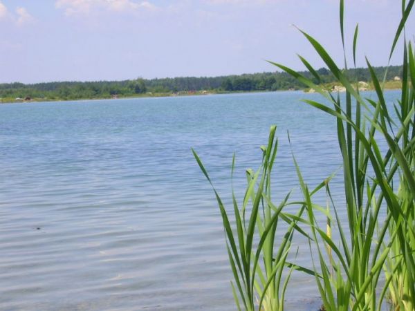 zdjecie Wierzchosławice