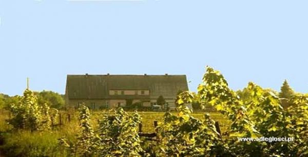 Kolonia Majątek - Golce