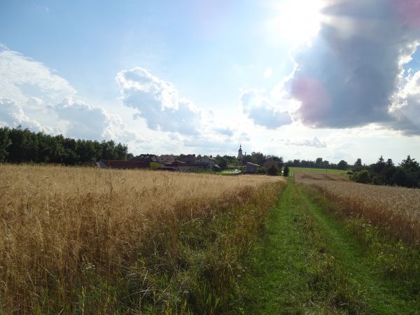 Widok na Kościół.