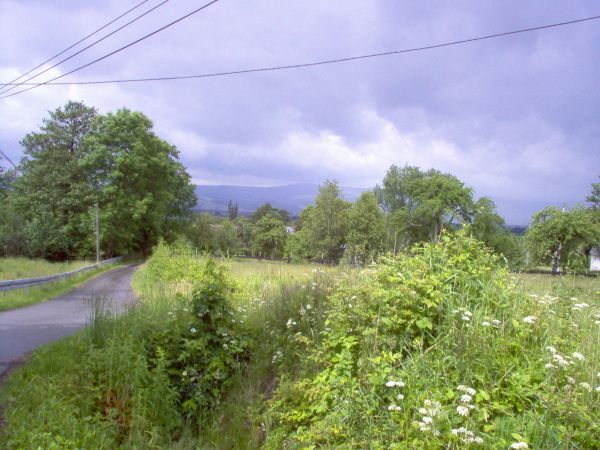 Widok okolicy Jaworka.