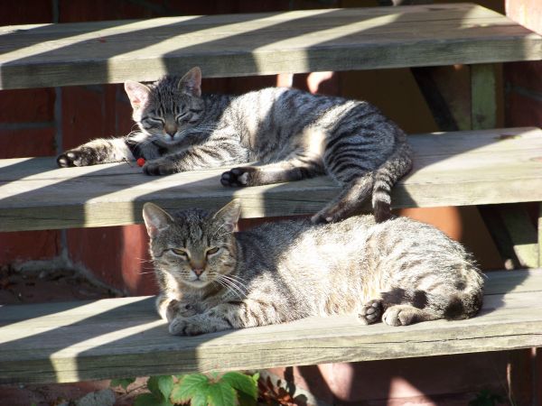 Błoga, rodzinna sielanka