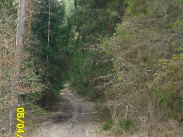 Malowniczy szlak śródleśny