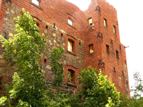 RUINY STAREGO MŁYNA WEW WSI WRONIKÓW K/ROZPRZY