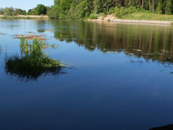 Rzeka Rega nad mostem.