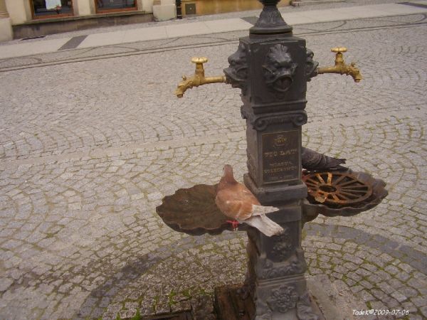 zdjecie Bolesławiec