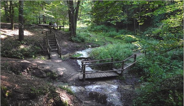 Źródełka rzeki Stok