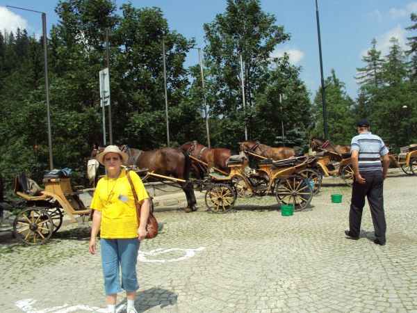 Dorożkarski parking w Kuźnicach.