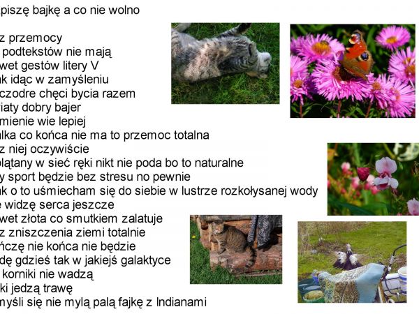 taka tam twórczość może da się przeczytać