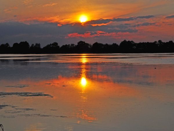 Stawy hodowlane Wielikąt k/Lubomi