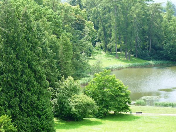 Jedna z najpiękniejszych rezydencji pałacowych w Polsce. Położona 10 km na południe od Przemyśla.  Zamek - pałac powstał w XVI wieku.  Przez kolejne lata rozbud