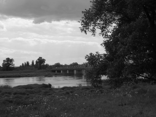 zdjecie Sulechów