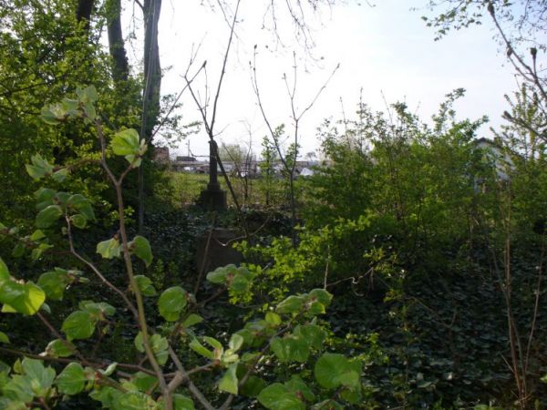 Zapomniany cmentarz w Kamieńcu