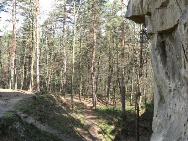 "Kamień Leski" - wychodnia piaskowcowa, tu od północy obcięta przez kamieniołom.