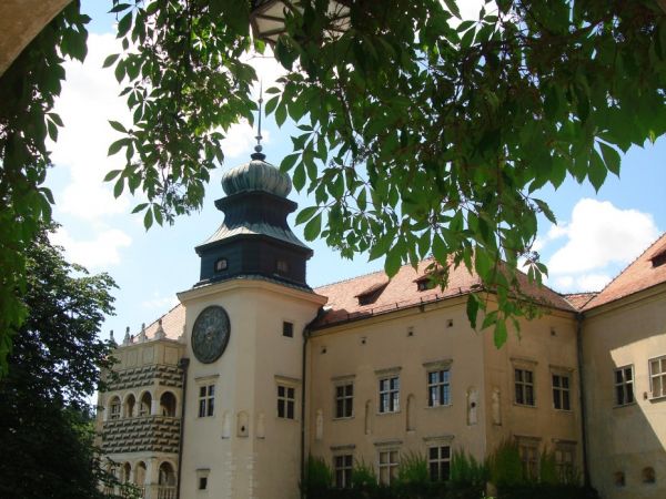 W latach 1377-1608 zamek był siedzibą rodu Szafrańców – niektórzy z nich wykorzystywali go jako punkt wypadowy do napadów na kupców przejeżdżających biegnącym p