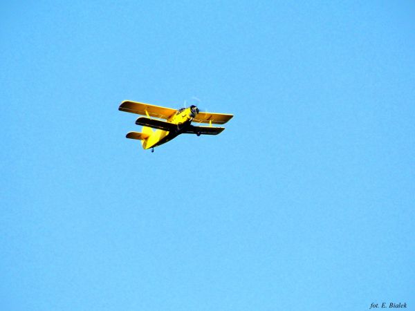 Czasami nad Toprzynami przelatuje taki samolot.
