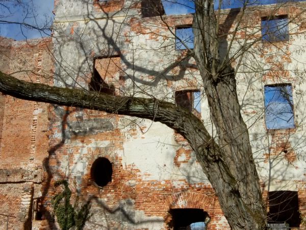 Pałac w Żmigrodzie – wybudowany w latach 1656–1658 według projektu Carla Gottharda Langhansa w Żmigrodzie.