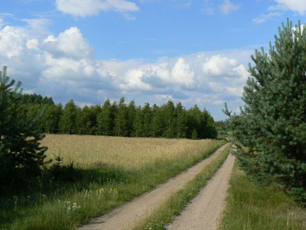 zdjecie Tyniewicze Duże
