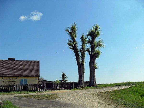 Ulica Wesoła w Lubikach Małych