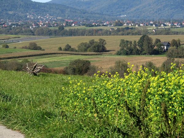 zdjecie Pietrzykowice