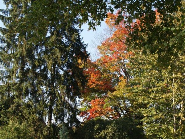 Szwecja - październik 2010