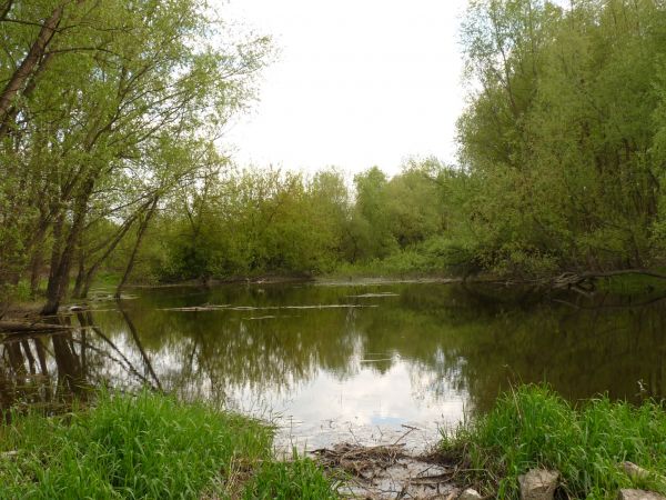 zdjecie Szymanowice Duże