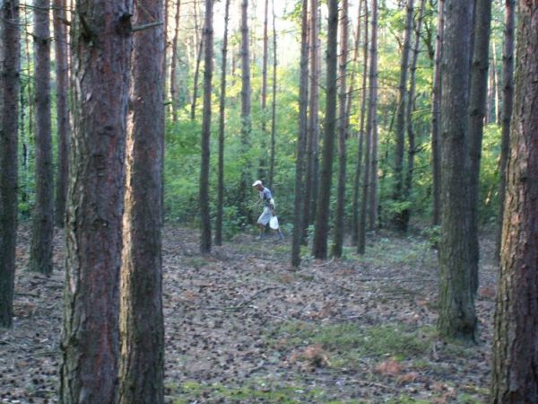 Zbieranie rydzow na Rydzowie