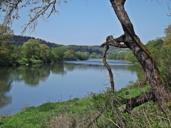 rzeka San - tu z drogi podczas przemierzania szlaku : Krzemienna - przeprawa promowa - Jabłonica Ruska - Hroszówka.