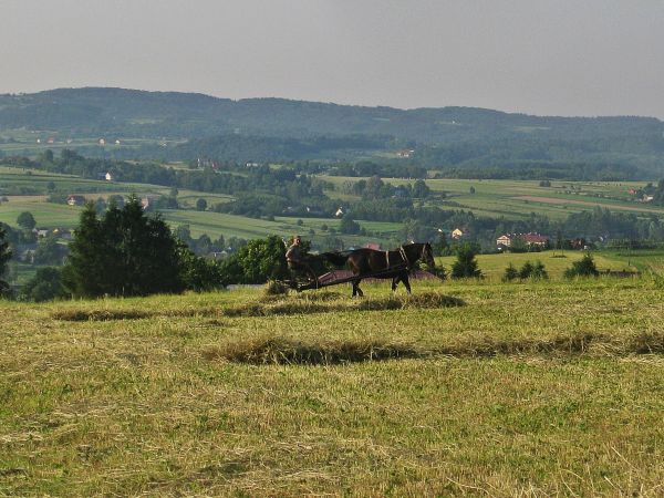 Obrazki, które wciąż można jeszcze oglądać. Czerwiec 2015.