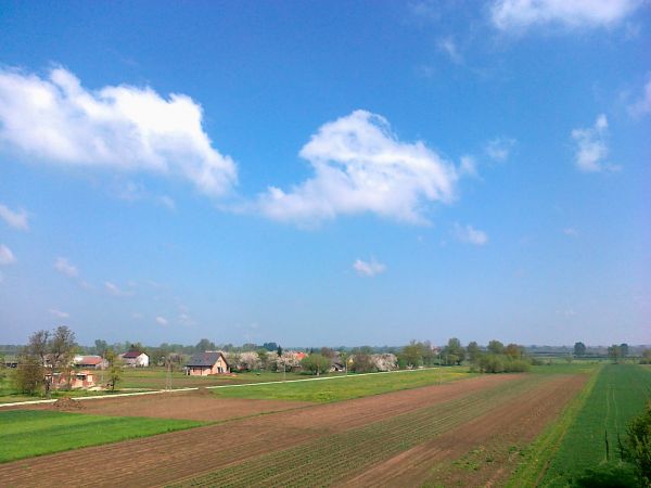 Brzostków i okolice . Droga z  Pawłowa  do Górnowoli w klasycznym obrazie  polskiej wiosny  .Na horyzoncie kościół w Ostrowcach .