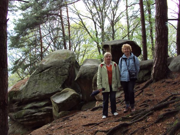 na trasie obiektów: Rezerwatu przyrody nieożywionej "Skamieniałe Miasto".
