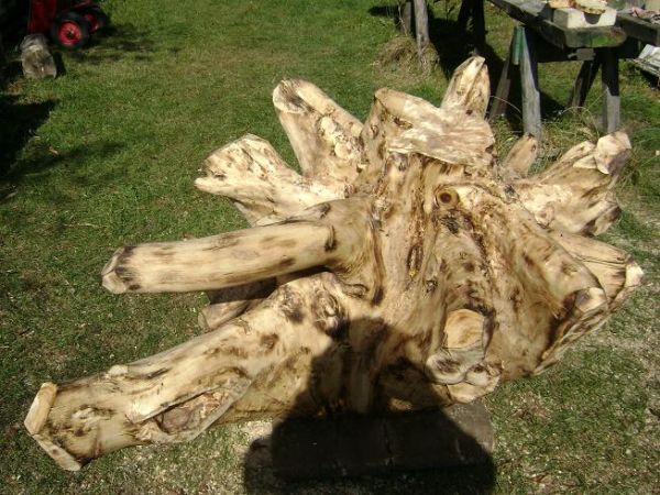 zdjecie Wola Wodyńska