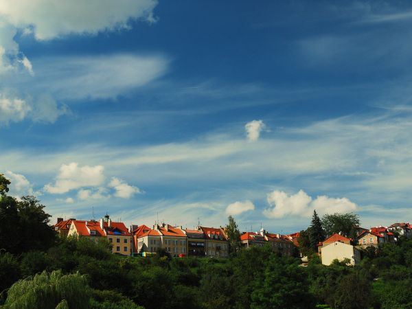 zdjecie Sandomierz