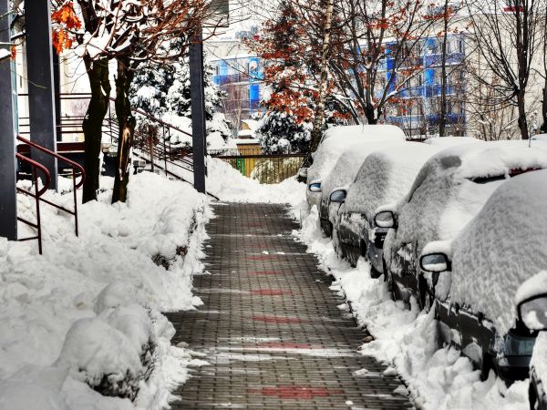 zdjecie Wodzisław Śląski