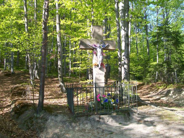 Brzanka na niebieskim szlaku