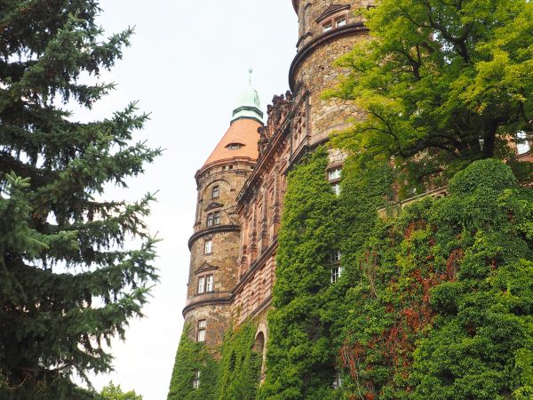 tymi schodkami - m.in. można przejść na tarasowo urządzone sektory ogrodów pałacowych, dalej na prawo widoczne wejścia do lochów - kazamatów, widok zza murów na