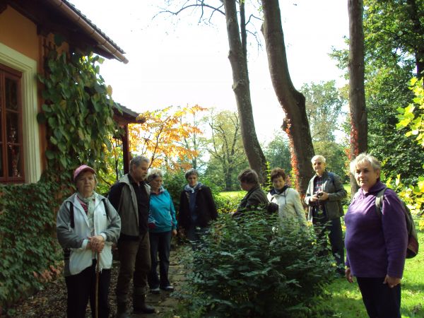 egzotyki w nasadzeniach dużo jest a po ścianie domu /z podkładem kratownicy/ prezentuje się dławisz okrągłolistny - preferuje miejsca zacienione.