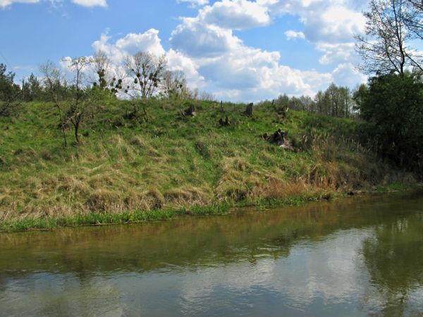 Kanał rzeki Wdy oraz teren nad nim położony