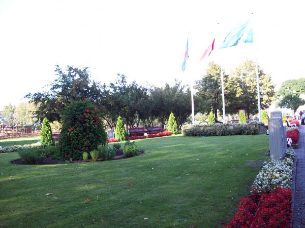 Przepiękne trawniki, kwiaty