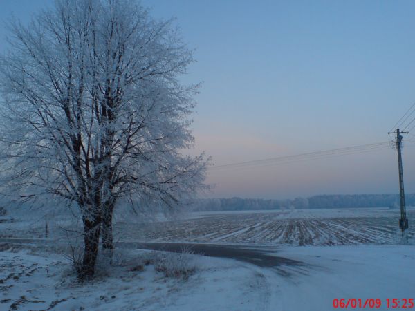 Zdjęcia Wólka Komarowska