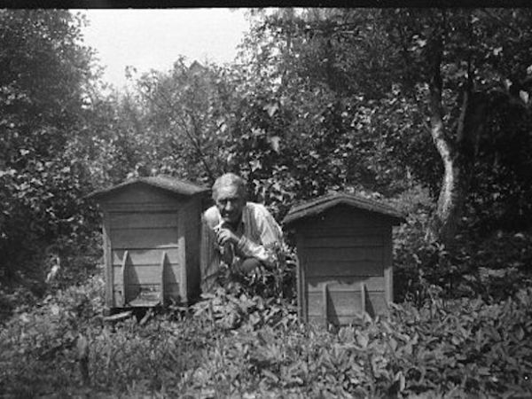 Wujek Władysław Krzemiński(1912-1986) 11.07.1981