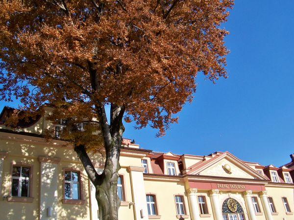 Pałac Saturna w jesiennych barwach.