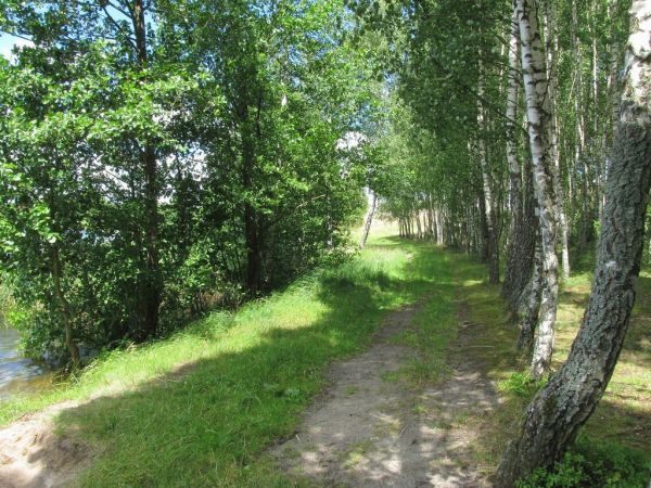 Nad brzegiem jeziora Lubiki w Lubikach