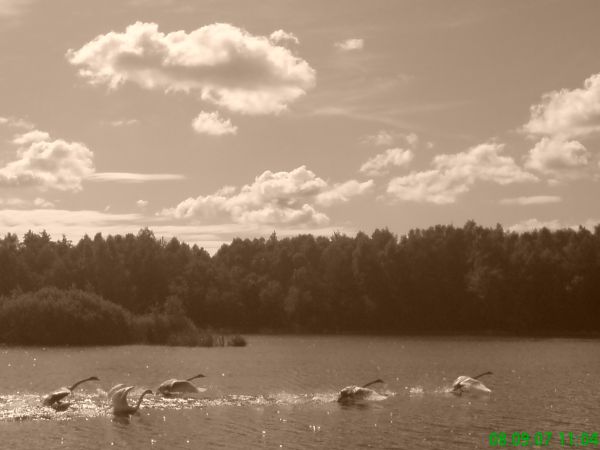 Jeziorko o nazwie Bagno.