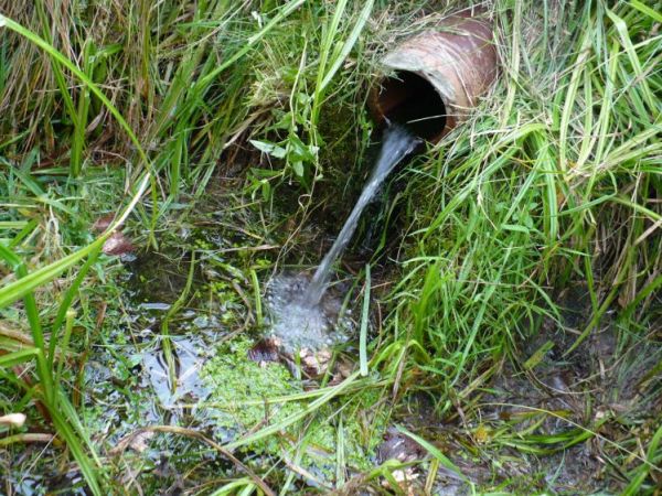 ŹRÓDŁO Pieklisko na skarpie rowu biegnącego wzdłuż rzeczki Kraszówka - Nowe Jaroszowice