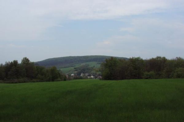 hen : Długi Dział - tam nad wsią Srogów Górny /zapraszam do galerii/, tu - na  prawo od tego pola - już w lesie jest miejsce pochówku żołnierza niemieckiego - f