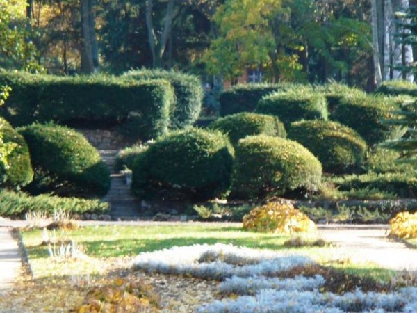 Fragment parku w Połczynie Zdroju